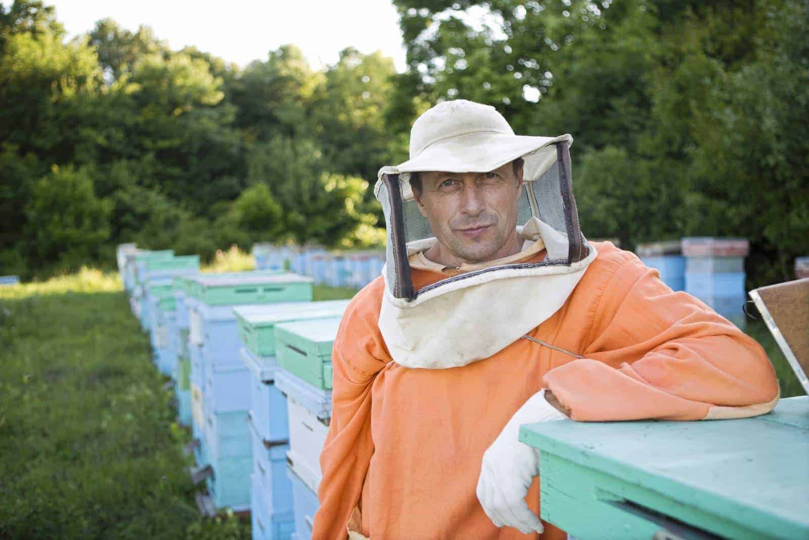 How hard work is it being a beekeeper?