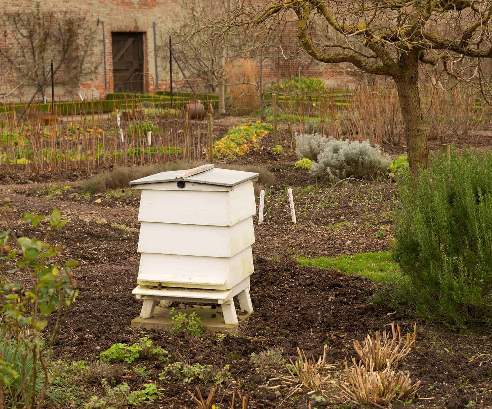 How far should I keep beehives from my house?