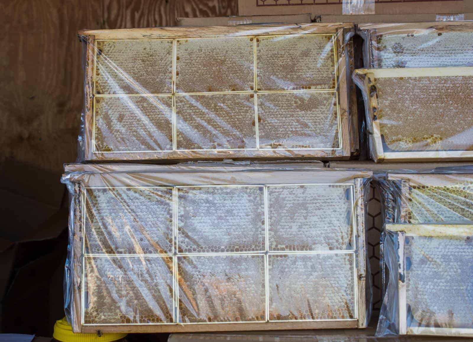 How to store frames before honey extraction?