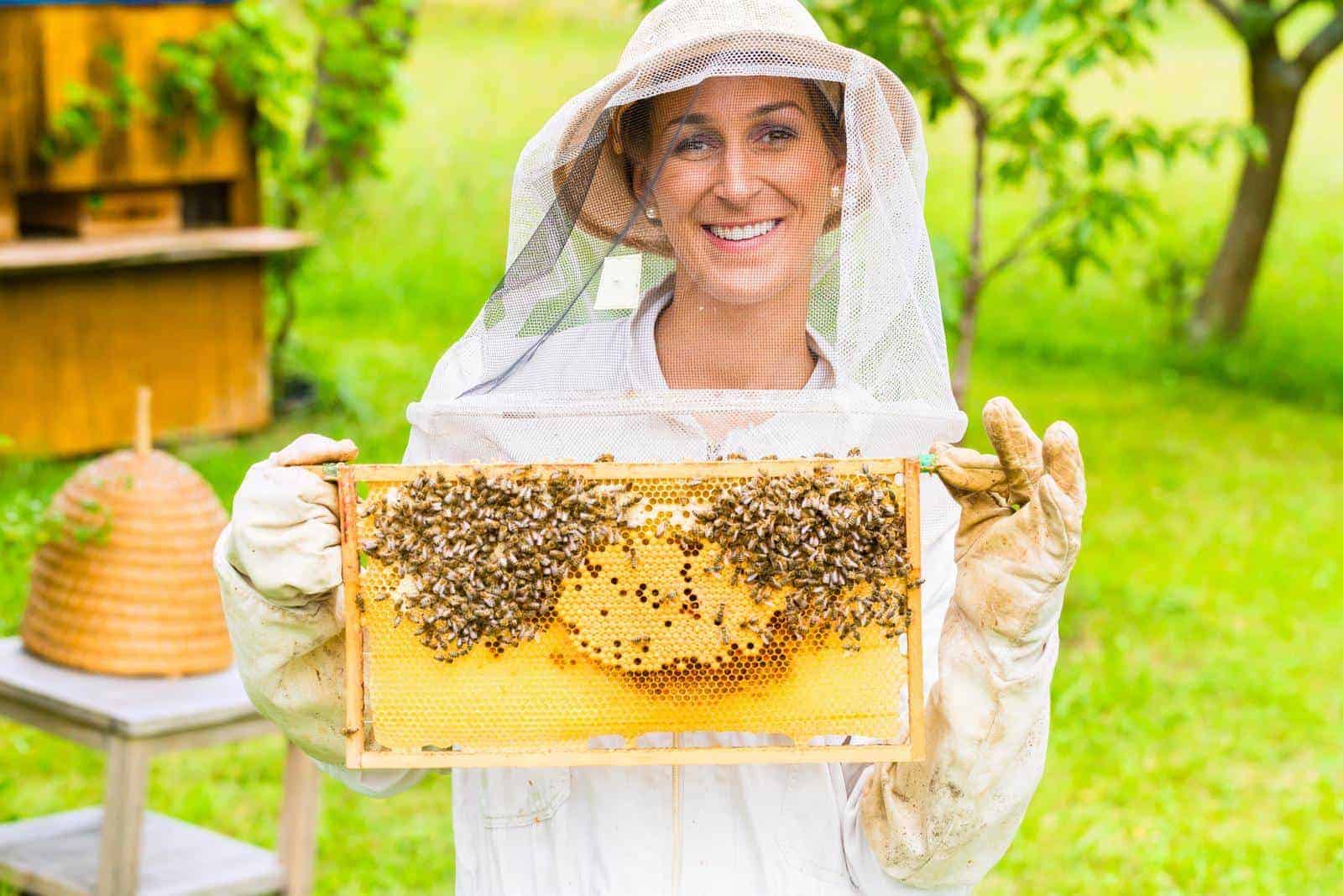 How To Become A Beekeeper: A Guide