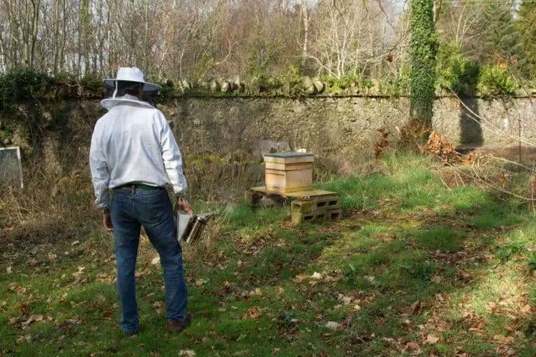 How bee suits work.