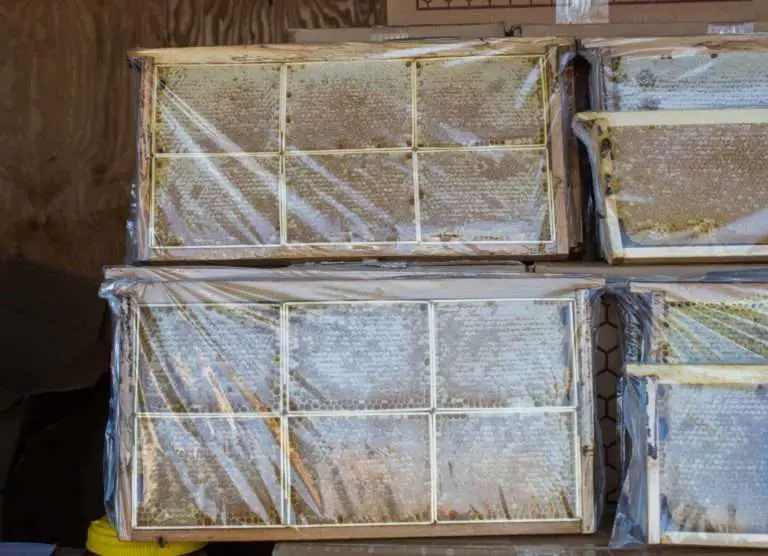 A Step By Step Guide To Storing Honey Frames Before Extraction Grampa