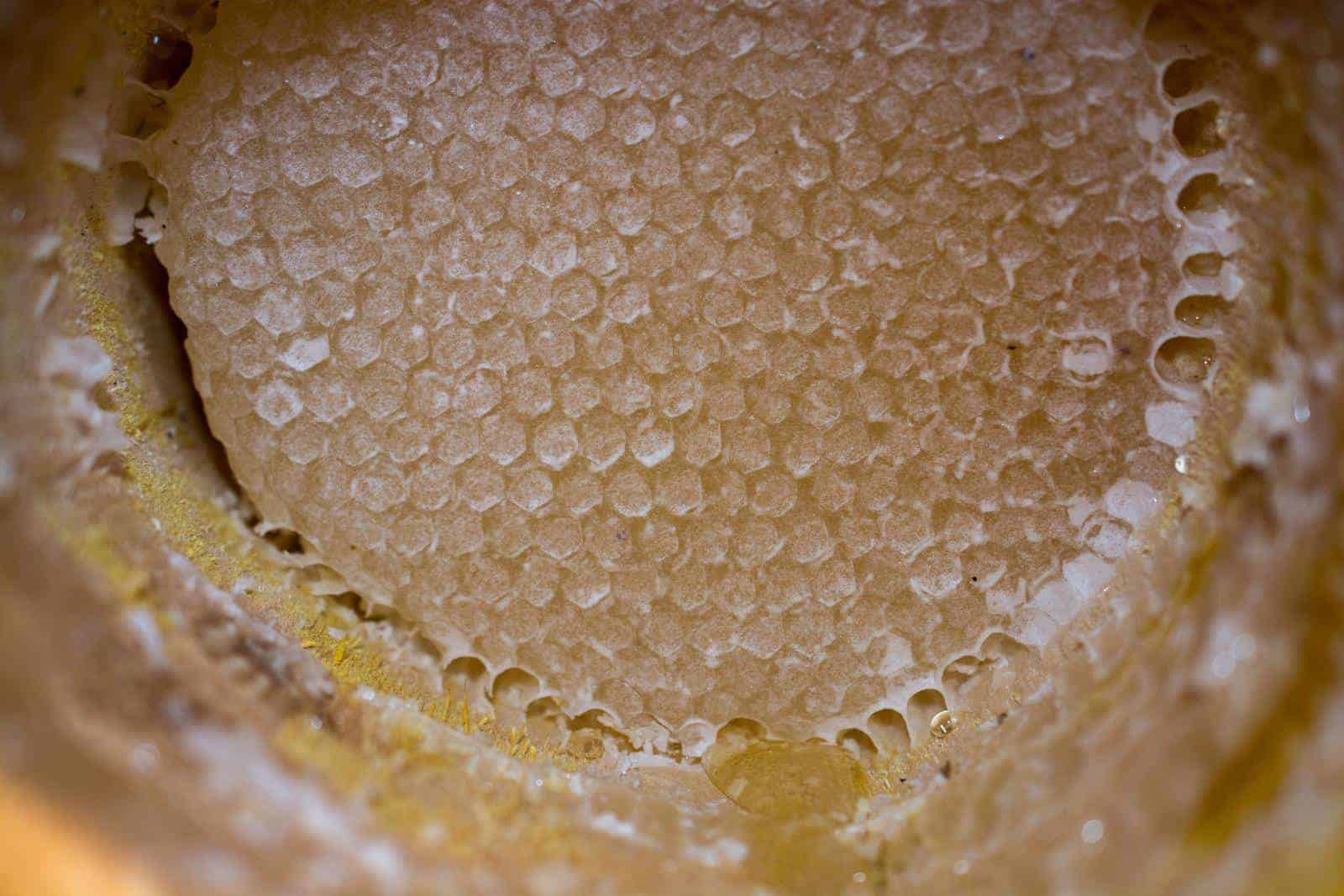 This Is How Long Honey Lasts in A Comb