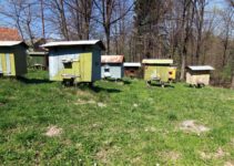 How To Find The Best Land For Beekeeping: 2022 edition