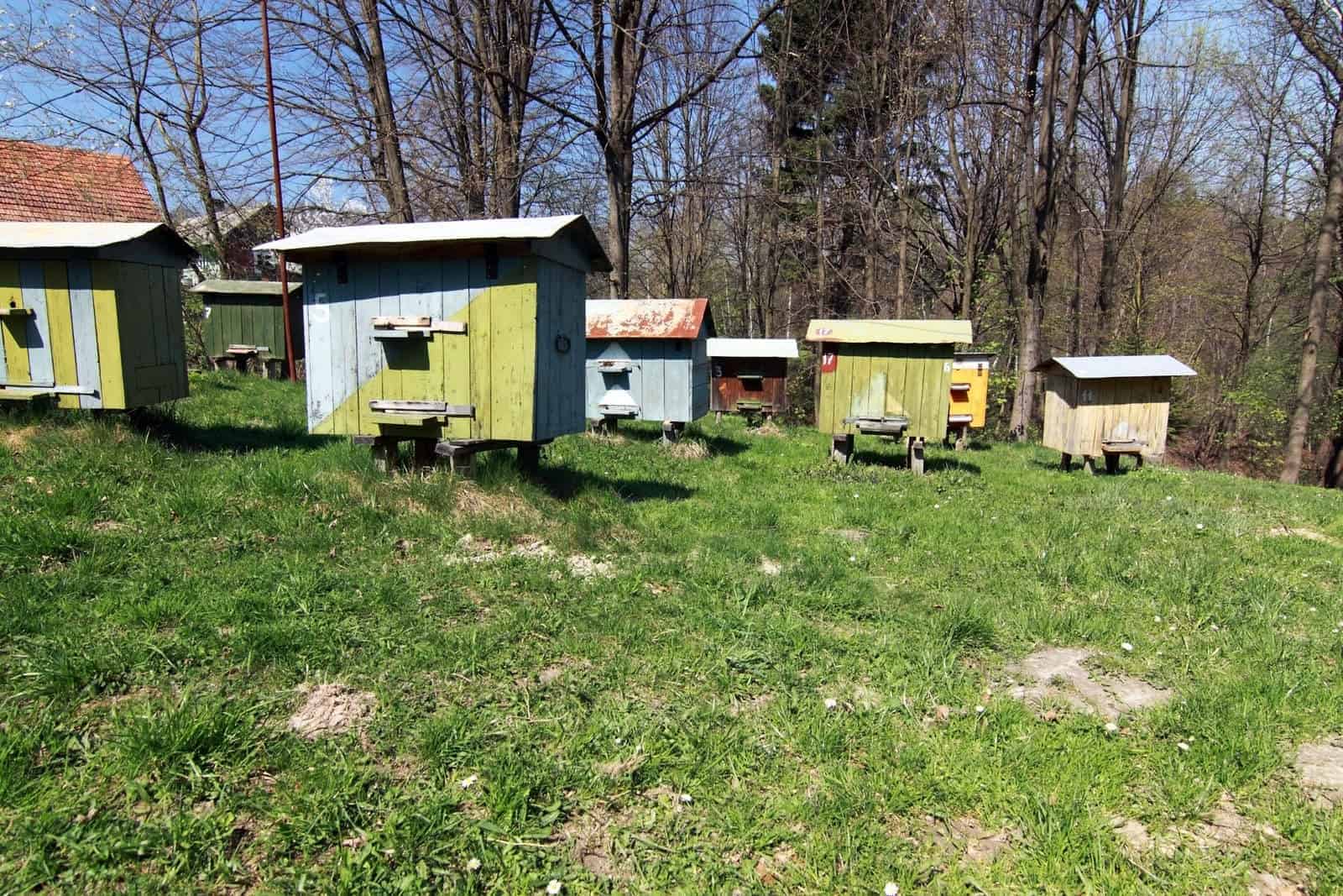 What is the best land for beekeeping?