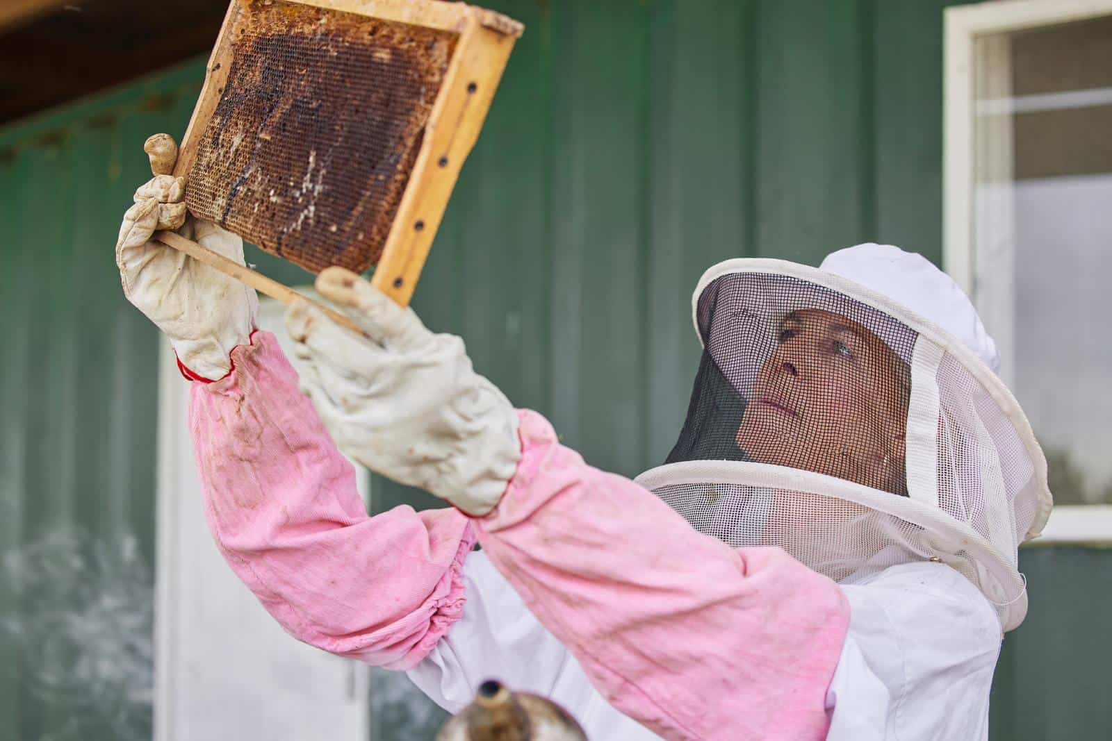 a woman working with a hive frame on a farm..