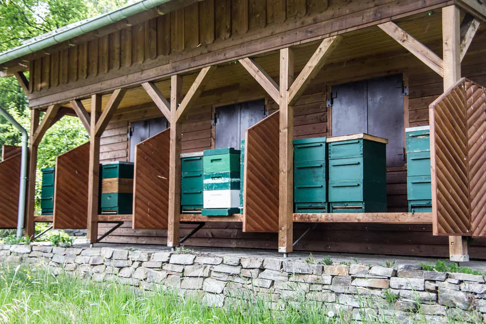 olorful-wooden-beehives-in-apiary