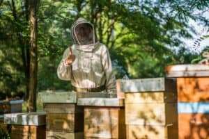 Grampa's Honey – Honey is my Passion, Beekeeping is my Life!!
