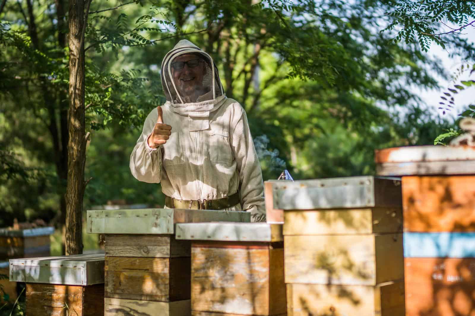 a happy beekeeper in his apiary holding his thumb up.