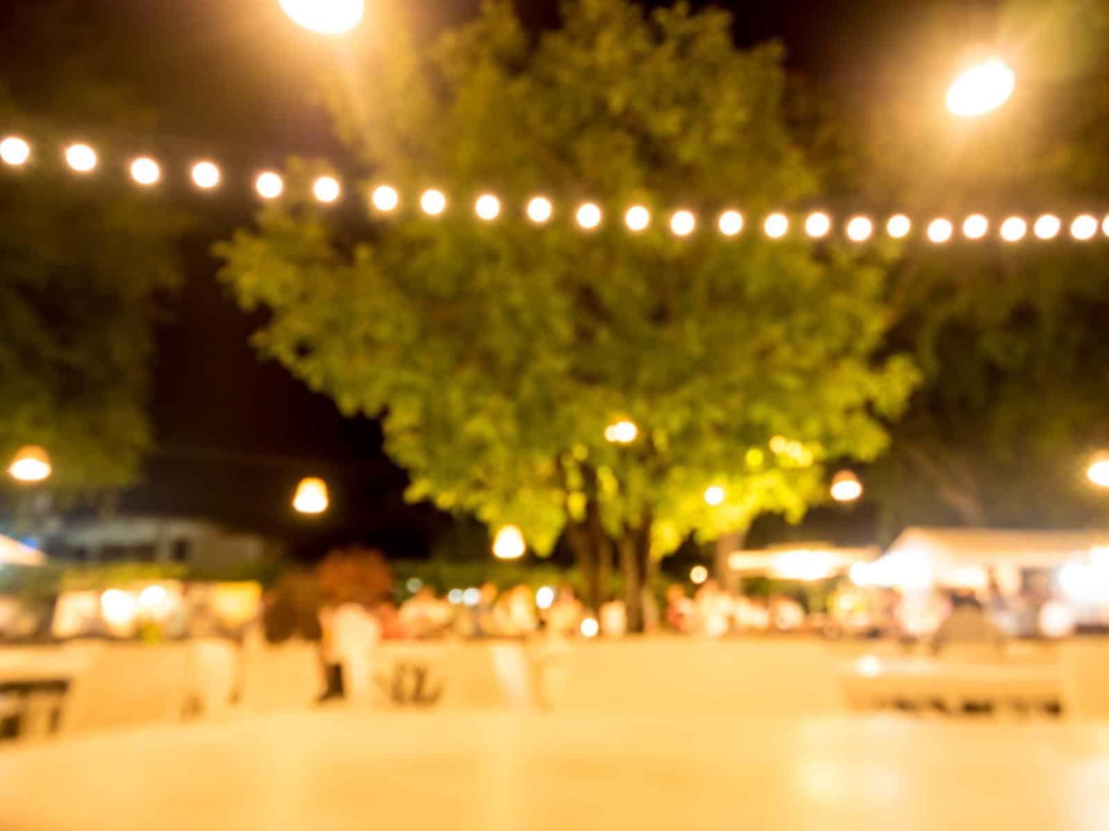 Blurred background of Garden lights illuminate the party.