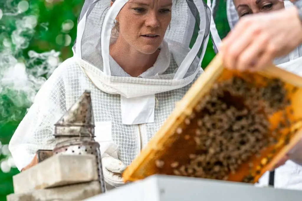 Grampa's Honey – Honey is my Passion, Beekeeping is my Life!!