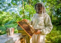 Treatment Free Beekeeping. What Is It? Is It A Good Idea?