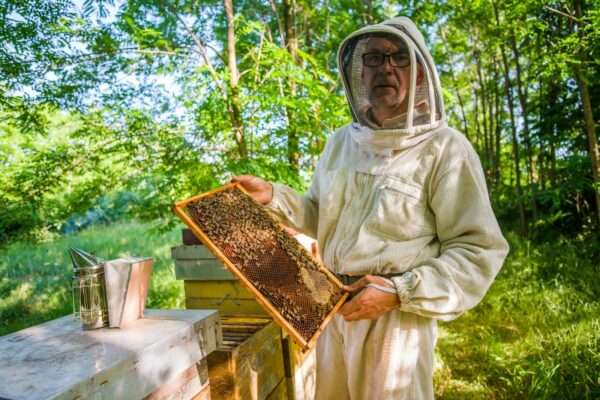 Grampa's Honey – Honey is my Passion, Beekeeping is my Life!!